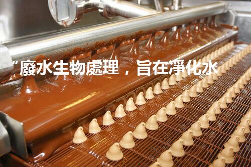 “廢水生物處理，旨在凈化水源，守護碧水藍天”